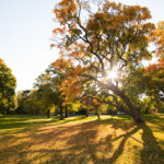 Home Exterior Fall Preparation Guide