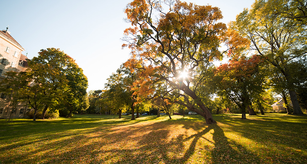 Home Exterior Fall Preparation Guide